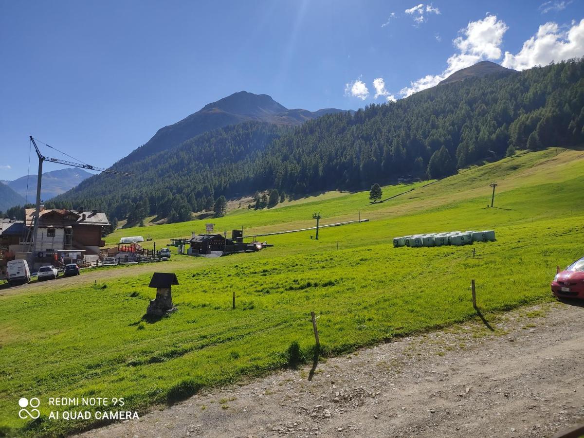 Fior D'alpe * Livigno
