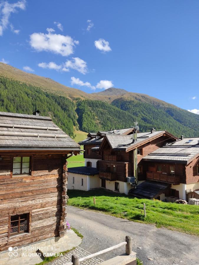 Fior D'alpe